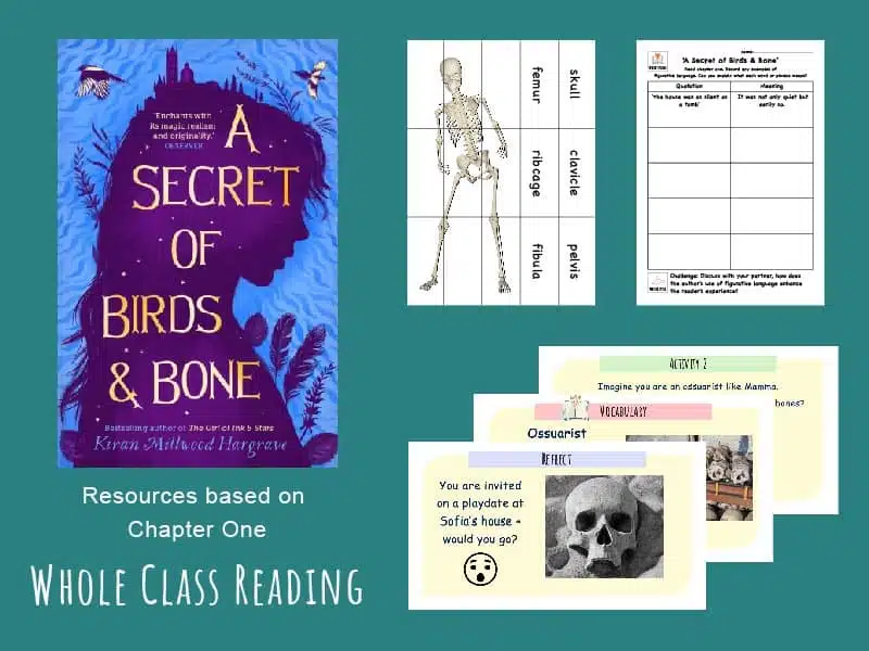 A Secret of Birds and Bone Comprehension